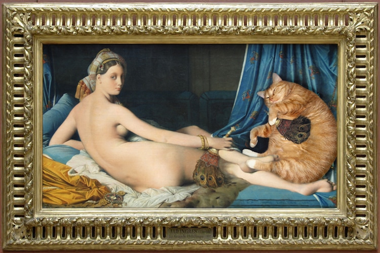 svetlana petrova fat cat art 10 - Կատուն հայտնվել է արվեստի գլուխգործոցների մեջ