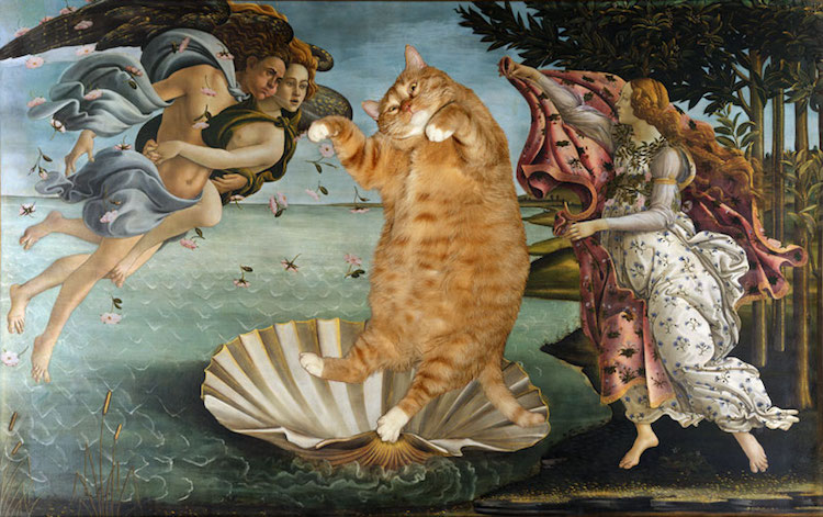 svetlana petrova fat cat art 21 - Կատուն հայտնվել է արվեստի գլուխգործոցների մեջ