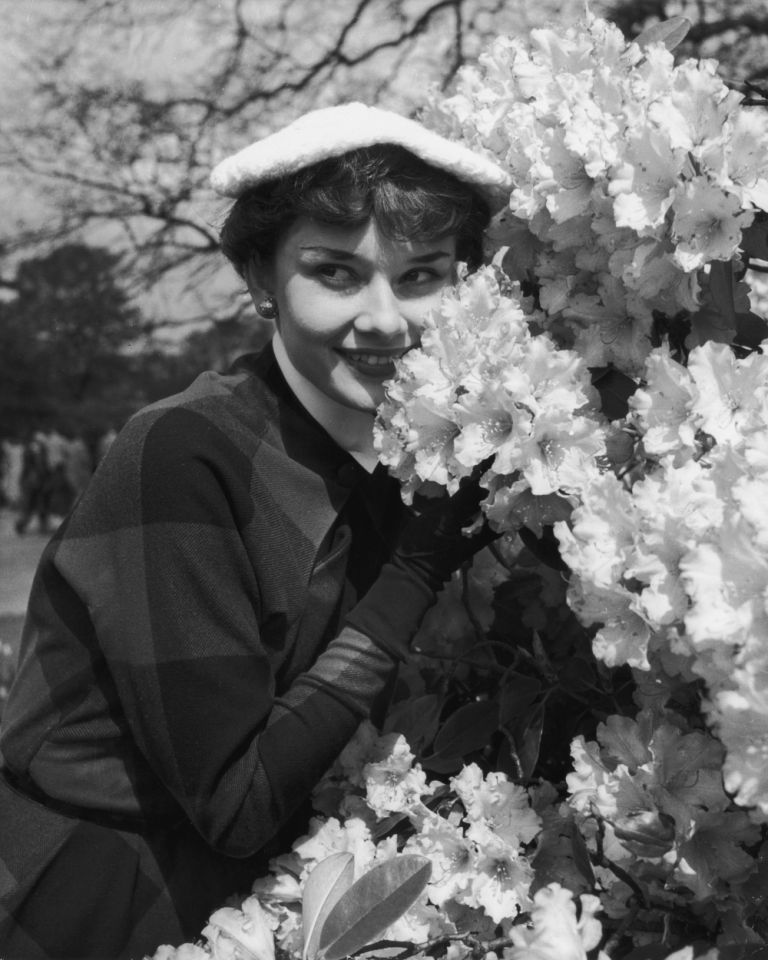 audrey hepburn in london 1950 5 - Երիտասարդ Օդրի Հեփբըրնի բացառիկ լուսանկարները