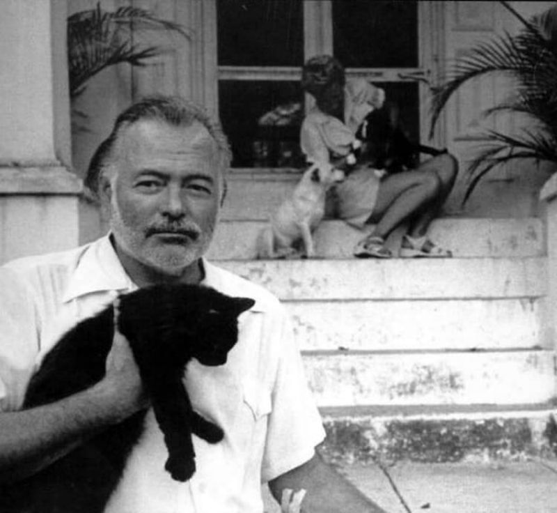 ernest hemingway and cats 10 - Էռնեստ Հեմինգուեյի և նրա սիրելի կատուների վինտաժային լուսանկարները