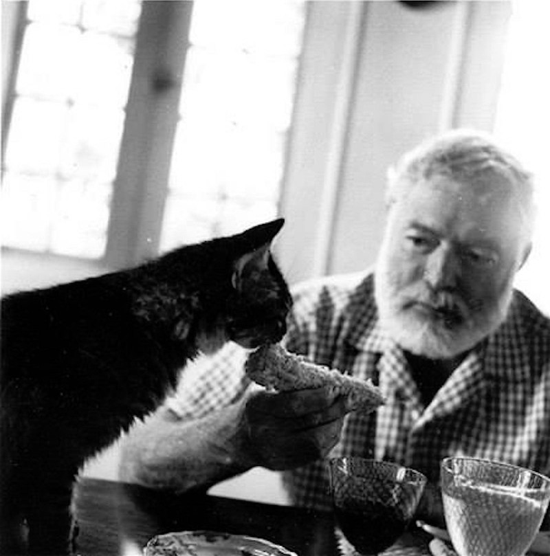 ernest hemingway and cats 15 - Էռնեստ Հեմինգուեյի և նրա սիրելի կատուների վինտաժային լուսանկարները
