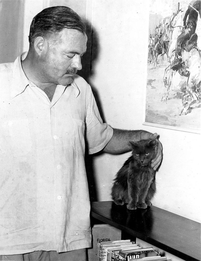 ernest hemingway and cats 24 - Էռնեստ Հեմինգուեյի և նրա սիրելի կատուների վինտաժային լուսանկարները