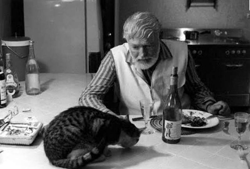 ernest hemingway and cats 4 - Էռնեստ Հեմինգուեյի և նրա սիրելի կատուների վինտաժային լուսանկարները