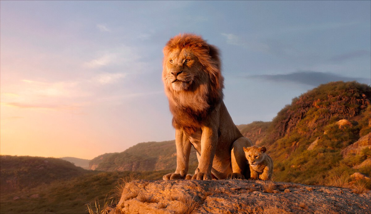 WI070119 FF Lionking 01 - Իսկ Դուք նկատե՞լ եք՝ որ կադրն է «Առյուծ արքայում» իրական