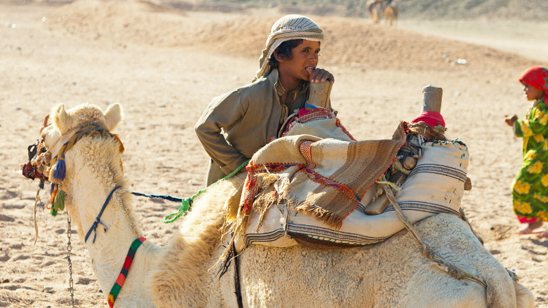 bedouin egypt normal - Շարմ Էլ Շեյխ. ում ձեռքով է հյուսվում հեքիաթն ու անվտանգ դառնում հանգիստը