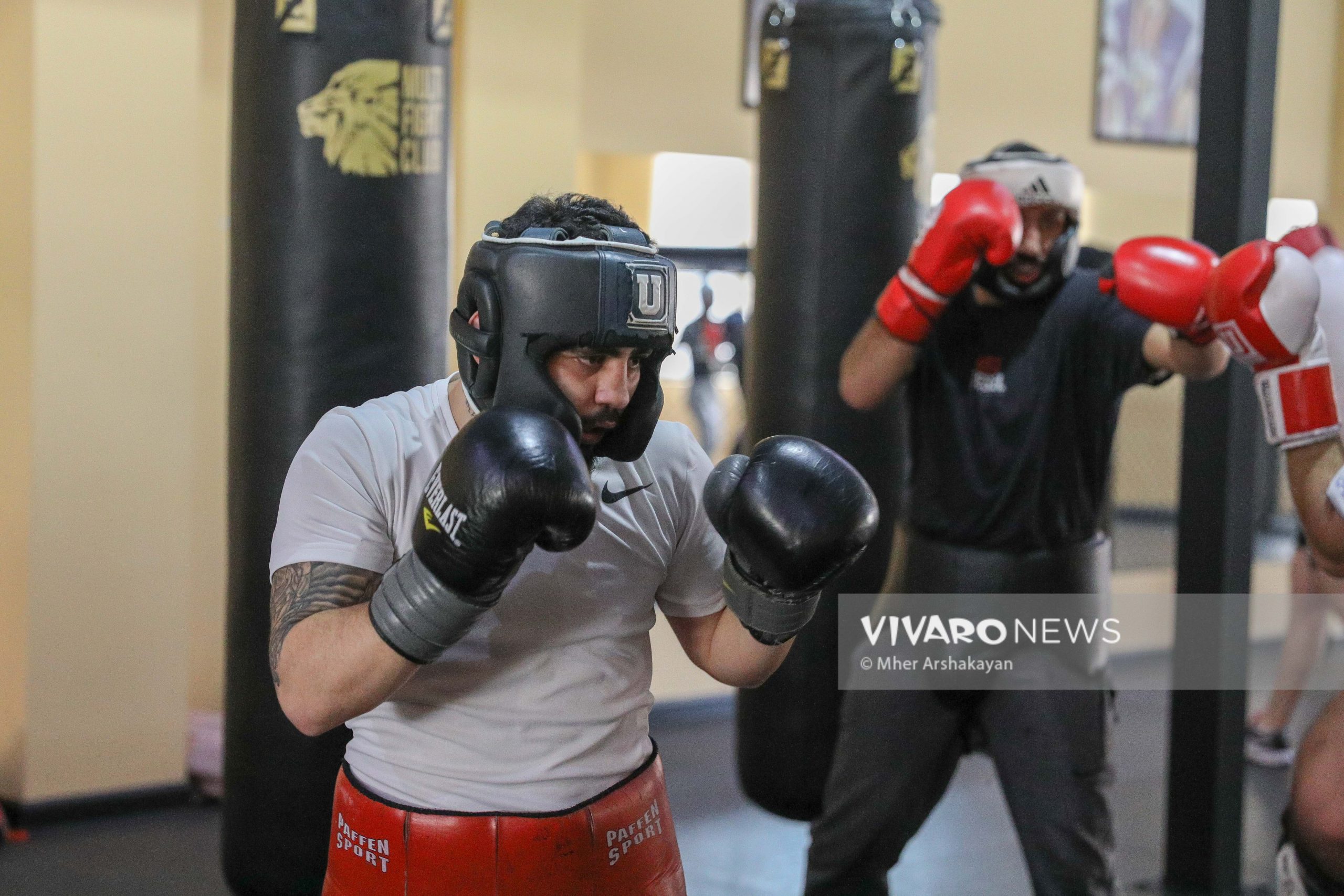 boxing training 6 scaled - Դեպի տարվա առաջին քննություն. հայ բռնցքամարտիկների մարզումը լուսանկարներով